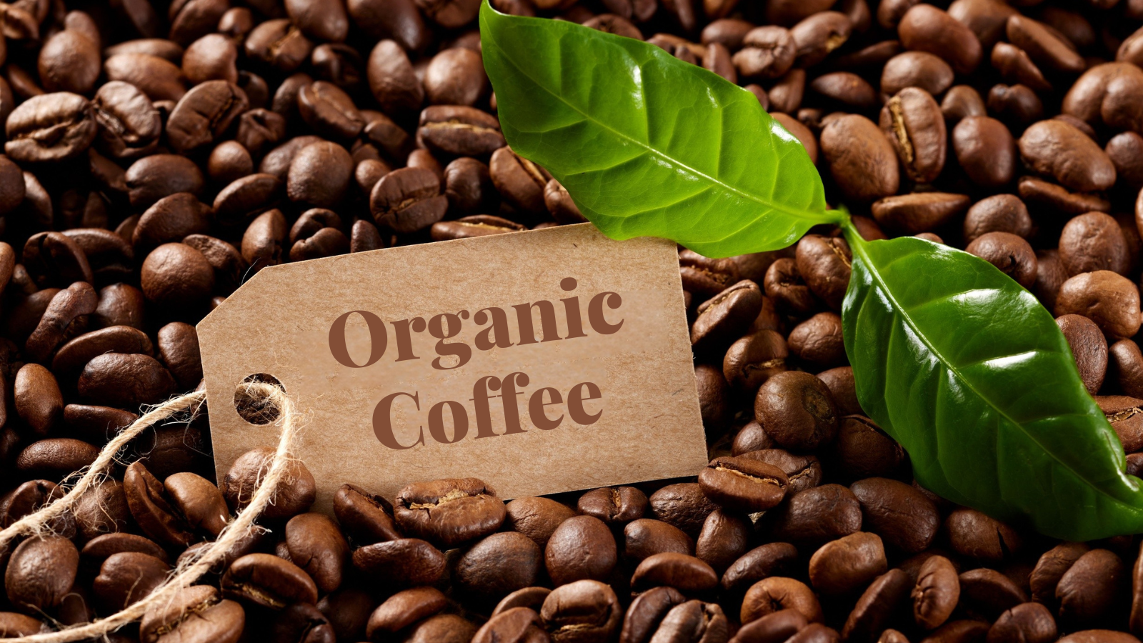 Organic Coffee Beans
