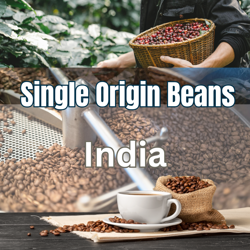 Single Origin Coffee Beans - India Chickmagalur