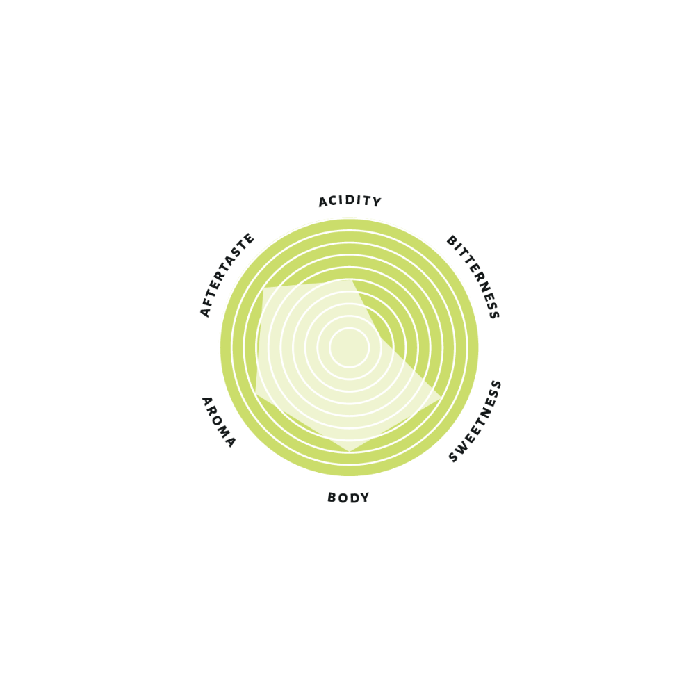 Single Origin Coffee Beans - El Salvador Finca Santa Isabel Profile