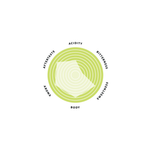 Single Origin Coffee Beans - El Salvador Finca Santa Isabel Profile