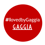 Gaggia Degreasing Tablets -  6 Tablets