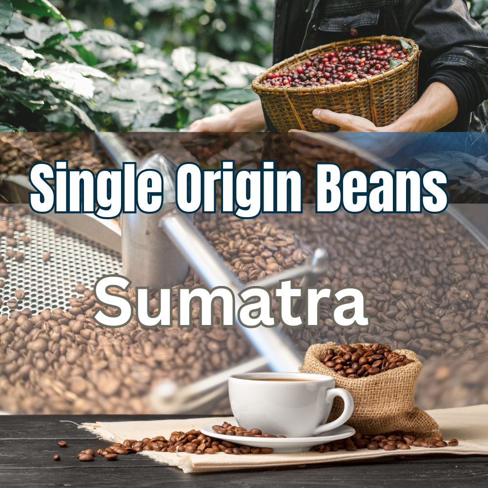 Single Origin Coffee Beans - Indonesia Sumatra